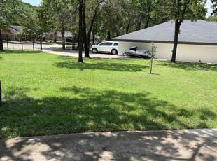 Roxann P.'s lawn maintenance service result