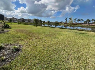 Dennis H.'s lawn care service result