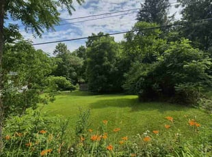 Matt S.'s lawn care service result