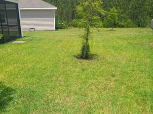 Jacob C.'s lawn care service result