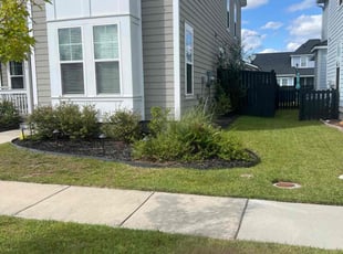 Reita R.'s turf care service result
