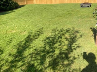 Helga G.'s lawn maintenance service result
