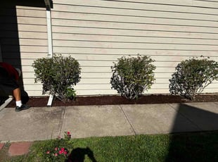 Kara D.'s Flower Bed Weeding service result