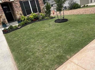 Scott M.'s lawn service service result