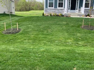 Shannon S.'s lawn service service result