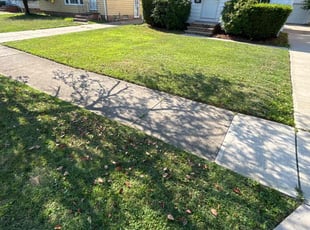Mike L.'s lawn maintenance service result
