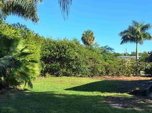 Jane S.'s Bush Trimming service result