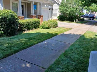 Deana G.'s lawn care service result