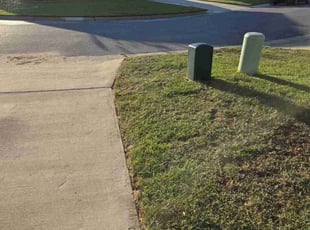 Michele K.'s lawn care services service result