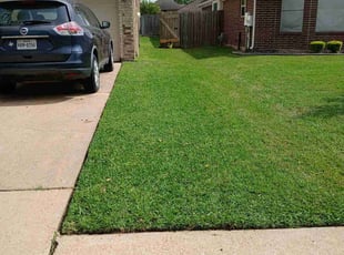 Kenia T.'s lawn maintenance service result