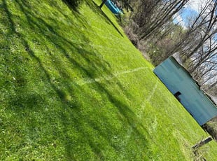 Kim S.'s lawn service service result