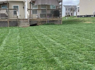 Laura M.'s turf maintenance service result