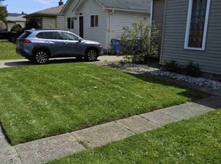 Allen O.'s lawn care services service result