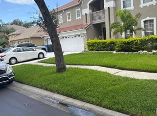Alejandra E.'s lawn service service result