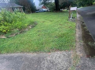Sherry T.'s grass maintenance service result
