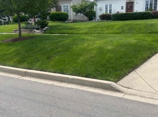 Lesley K.'s residential landscaping service result
