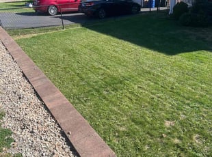 Tori M.'s lawn care service result