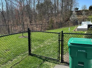 Patti H.'s turf care service result