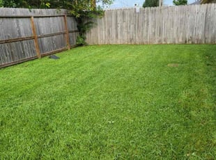 Dachelle J.'s turf care service result