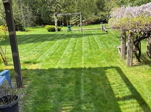 Jenai W.'s lawn care services service result