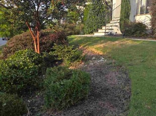 Dat V.'s Bush Trimming service result