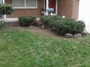 Zeinab N.'s Bush Trimming service result