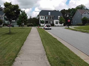 Krystal D.'s lawn care services service result