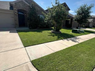 Dheeraj M.'s turf care service result