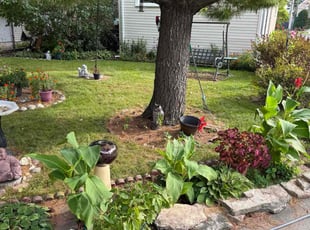 Jamie B.'s lawn care service result