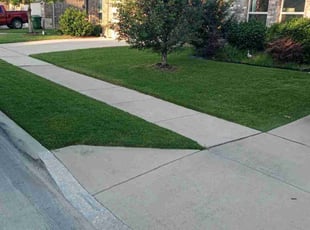Lori U.'s lawn maintenance service result