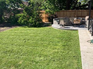 Helen C.'s turf care service result