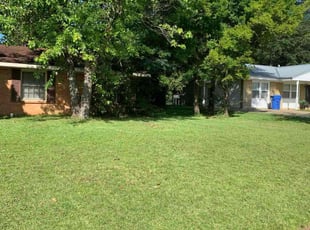 James W.'s turf care service result