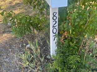 Barbara S.'s lawn care services service result