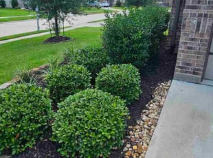 Justin T.'s lawn maintenance service result