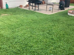 Faiza K.'s lawn service service result