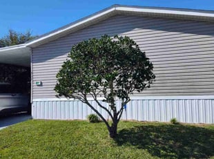 Nathaniel B.'s Bush Trimming service result
