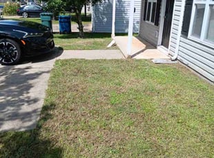 Diana B.'s grass cutting service result
