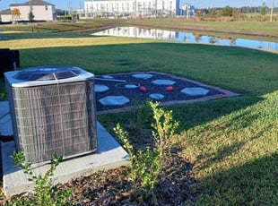 Beverly S.'s grass cutting service result