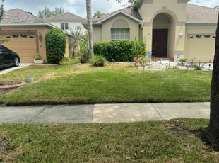 Ashley O.'s lawn care service result