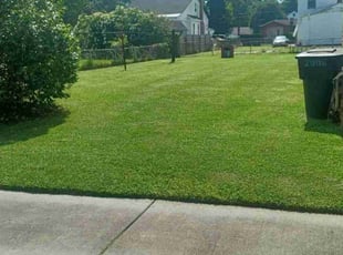 Brian F.'s grass maintenance service result