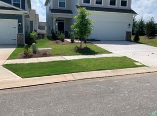 Mary C.'s lawn service service result