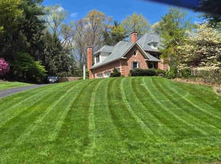 Sandra Z.'s turf maintenance service result
