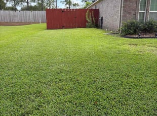 Ann G.'s lawn care service result