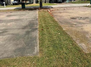 Monica F.'s lawn care service result
