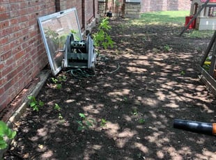 Donald H.'s Leaf Removal service result