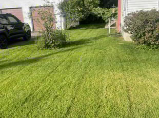 Joseph P.'s lawn service service result