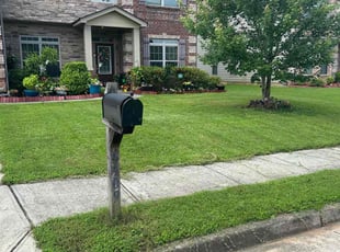 Brittany S.'s grass maintenance service result
