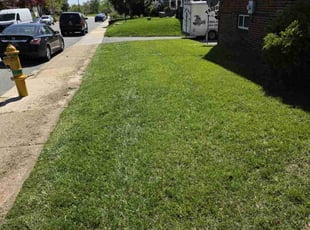 Paulina L.'s grass maintenance service result