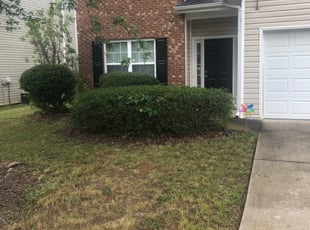 James M.'s Bush Trimming service result