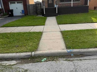 Orazio T.'s turf care service result